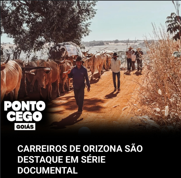 Captura de tela